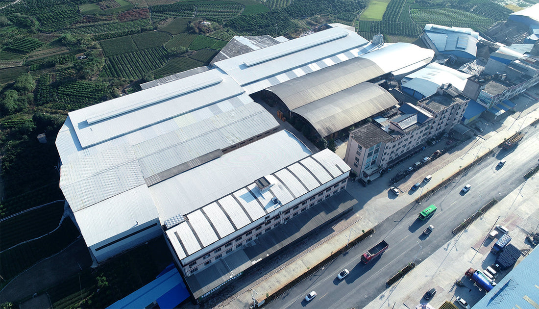 Mile Stones of the Dadi