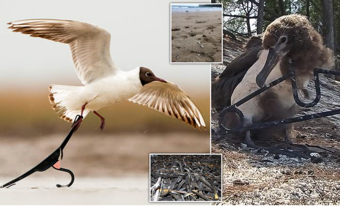 Green Living Starts With a Hanger